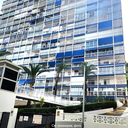 Apartment Alcalde Manuel Catalan Luxury Benidorm Eksteriør billede